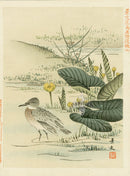 Kano Japanese Woodblock Yellow Flowers, Keibun, 1894 - Panteek Antique Prints