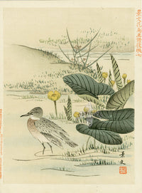 Kano Japanese Woodblock Yellow Flowers, Keibun, 1894 - Panteek Antique Prints