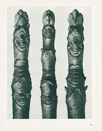 Karl Blossfeldt Original Print Aesculus Parviflora - Panteek Antique Prints