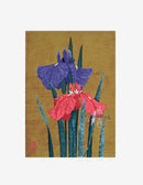 Kazutoshi Sugiura Flowering Iris - Panteek Antique Prints