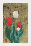 Kazutoshi Sugiura No 3 Red, White Tulip - Panteek Antique Prints