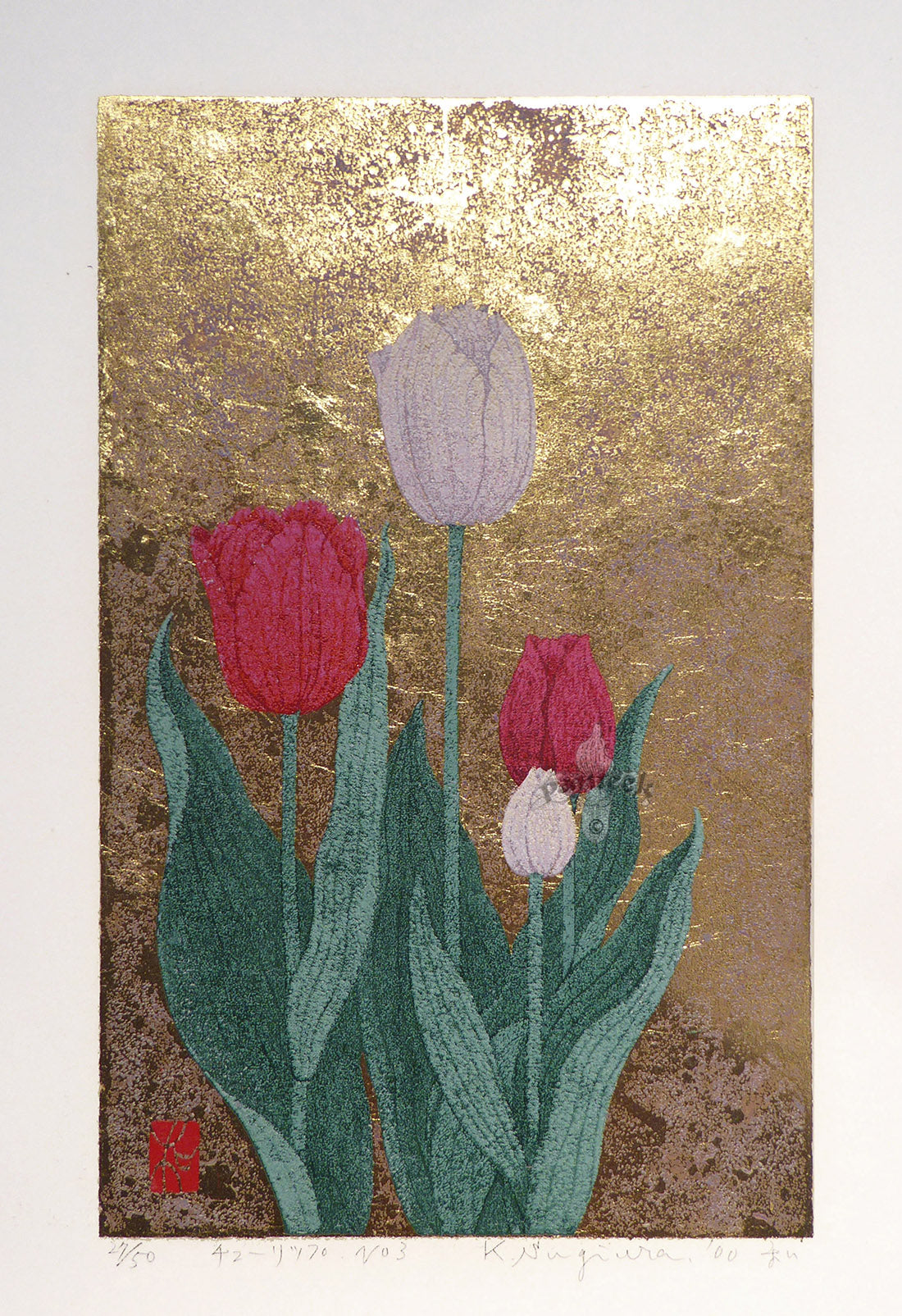 Kazutoshi Sugiura No 3 Red, White Tulip
