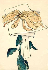 Keika Hasegawa Show Chrysanthemums KIK68 - Panteek Antique Prints
