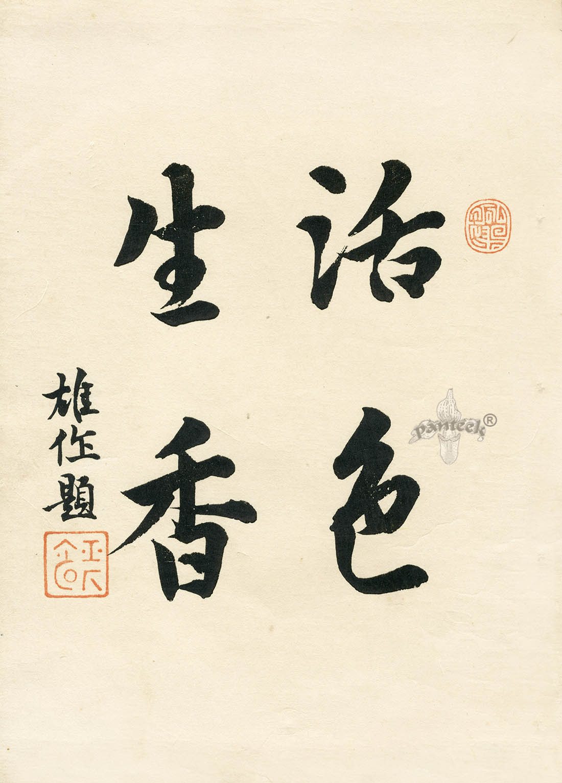 Keika Hasegawa Title Page KIK3