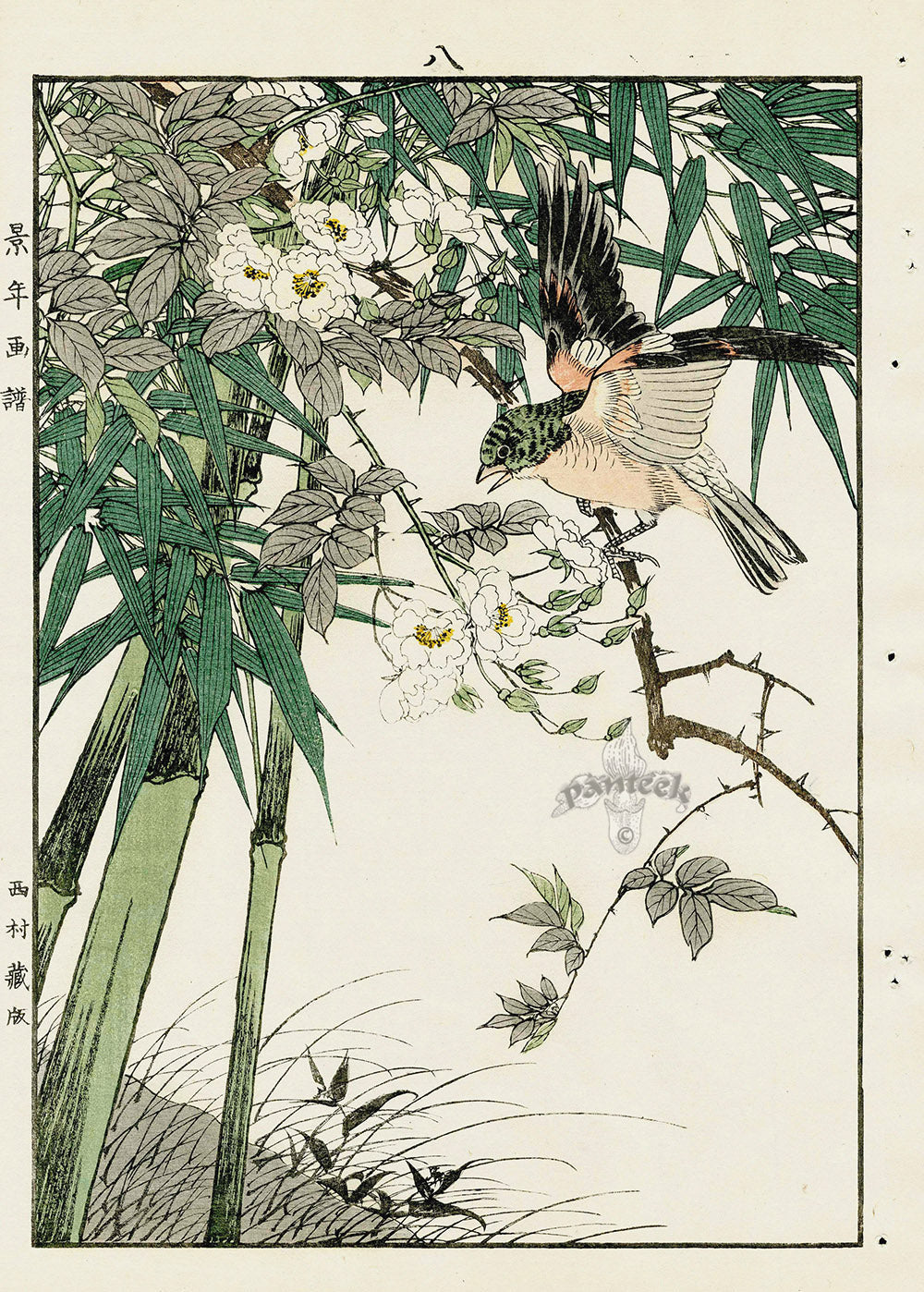 Keinen Imao Bird and Flower Albums Brambling, Rose, Bamboo