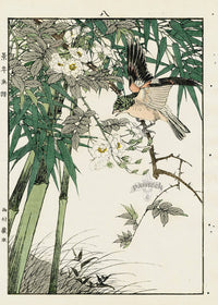 Keinen Imao Bird and Flower Albums Brambling, Rose, Bamboo - Panteek Antique Prints
