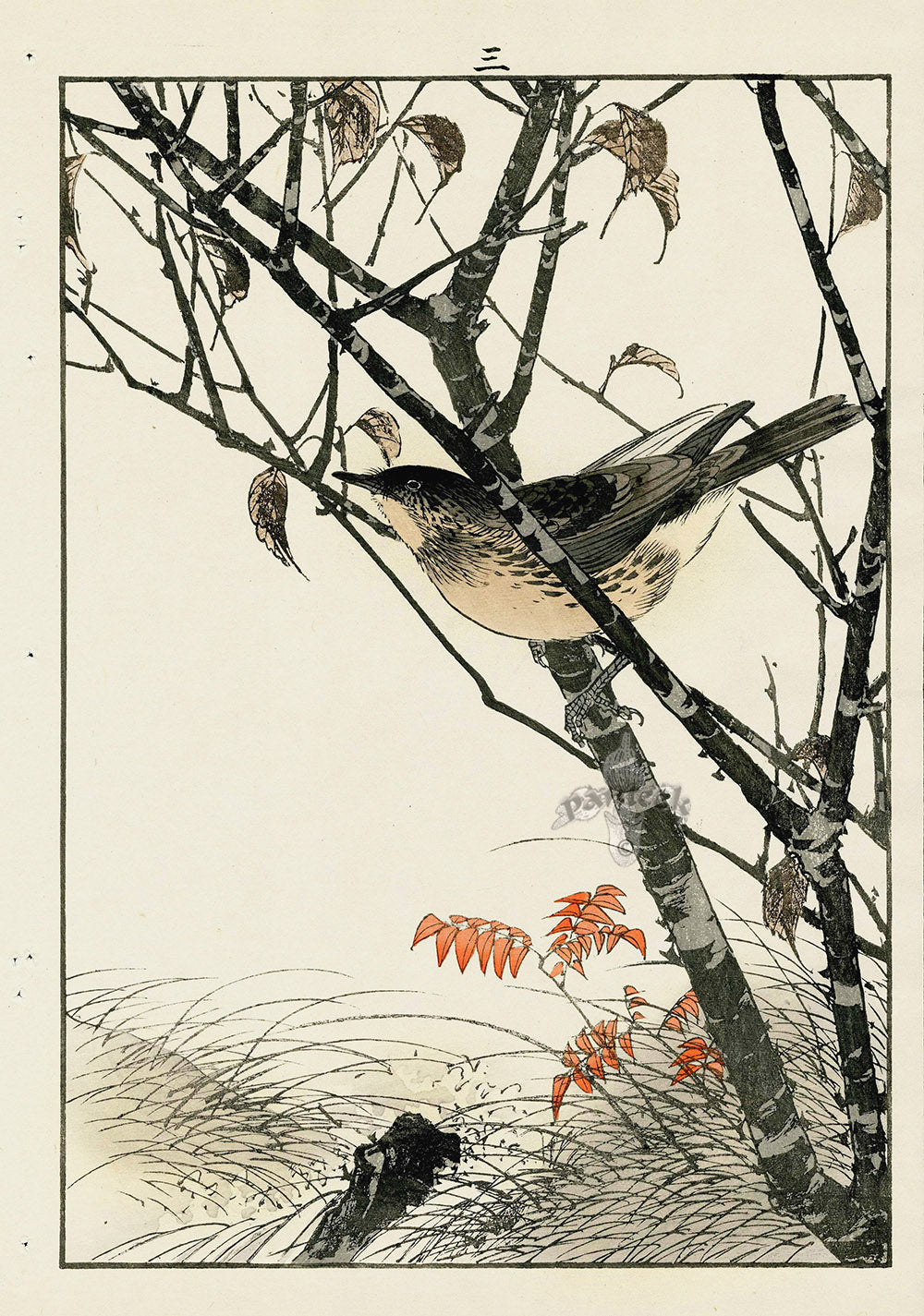 Keinen Imao Bird and Flower Albums Cherry Tree, Flycatcher