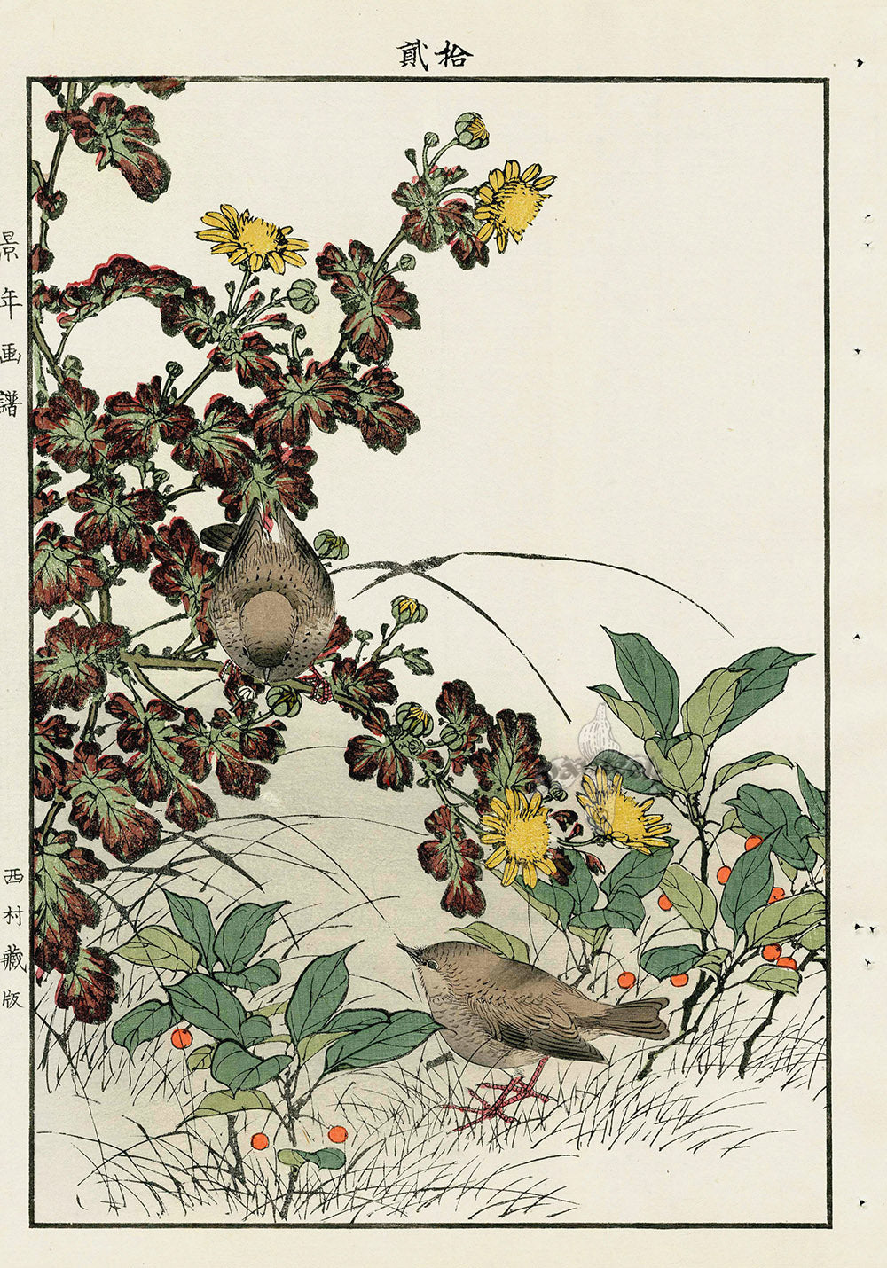 Keinen Imao Bird and Flower Albums Chrysanthemum, Wood Warbler