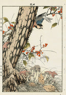 Keinen Imao Bird and Flower Albums Creeper, Pine, Mushrooms, Blue Bird - Panteek Antique Prints