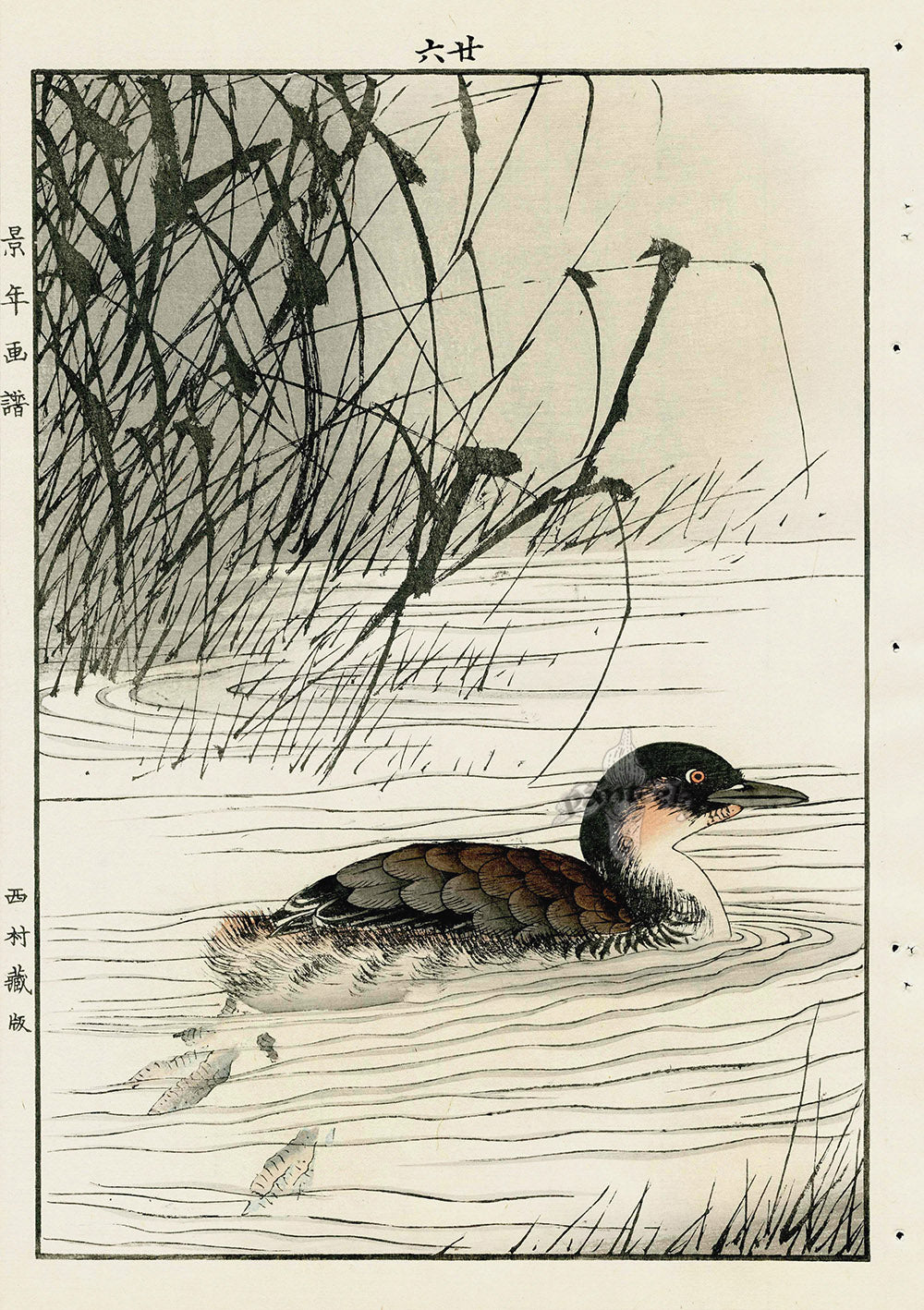 Keinen Imao Bird and Flower Albums Duck, Rushes