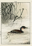 Keinen Imao Bird and Flower Albums Duck, Rushes - Panteek Antique Prints