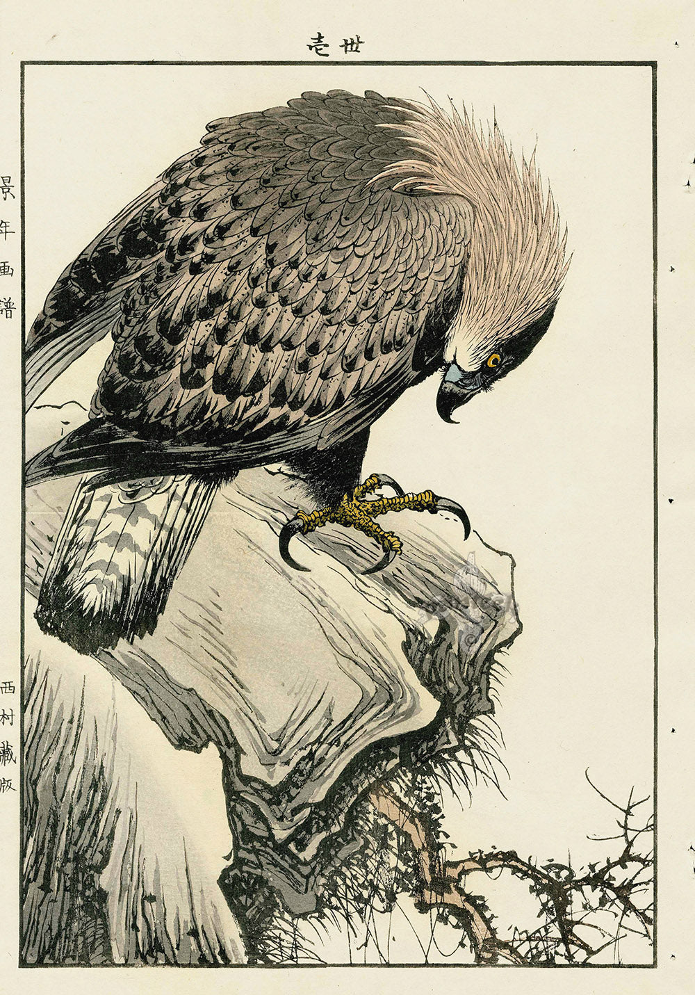 Keinen Imao Bird and Flower Albums Eagle