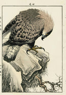 Keinen Imao Bird and Flower Albums Eagle - Panteek Antique Prints