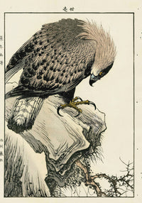 Keinen Imao Bird and Flower Albums Eagle - Panteek Antique Prints