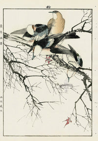 Keinen Imao Bird and Flower Albums Flycatcher, Red Maple - Panteek Antique Prints