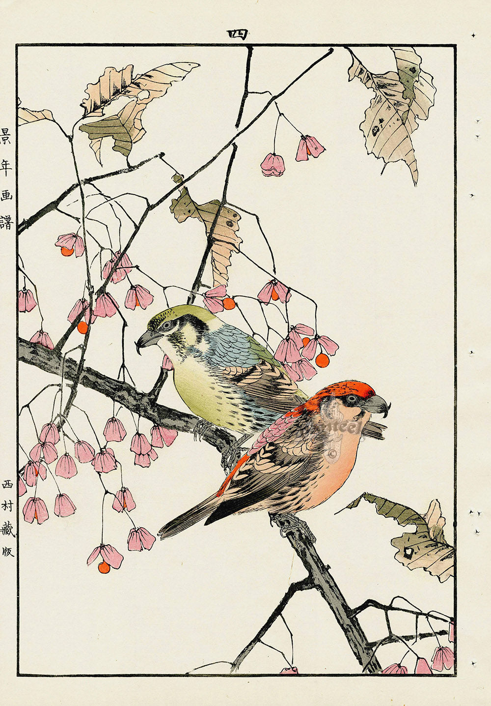 Keinen Imao Bird and Flower Albums Flycatcher, Spindle Tree