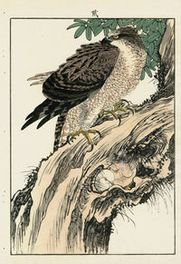 Keinen Imao Bird and Flower Albums Goshawk, Banyon - Panteek Antique Prints