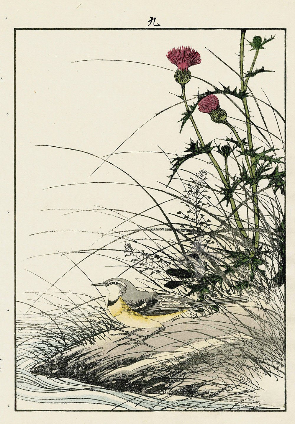 Keinen Imao Bird and Flower Albums Grey Wagtail, Thistle