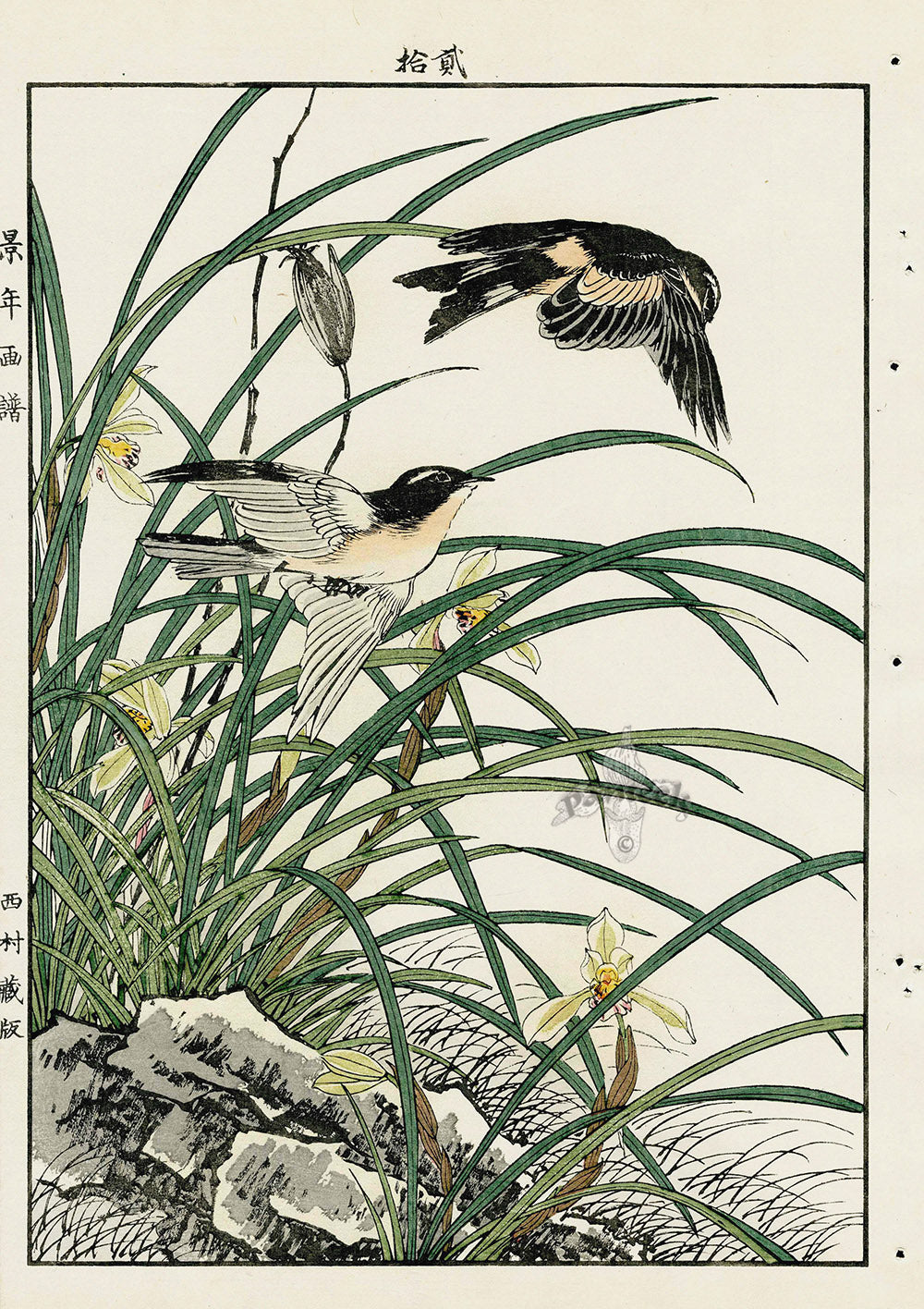 Keinen Imao Bird and Flower Albums Iris, Lily, Skylark