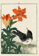 Keinen Imao Bird and Flower Albums Lily, Bubul - Panteek Antique Prints