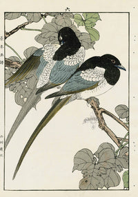 Keinen Imao Bird and Flower Albums Magpie, Catalpa - Panteek Antique Prints