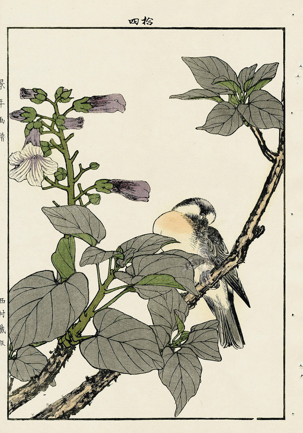 Keinen Imao Bird and Flower Albums Malva