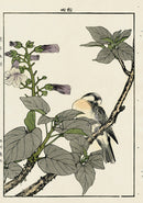 Keinen Imao Bird and Flower Albums Malva - Panteek Antique Prints