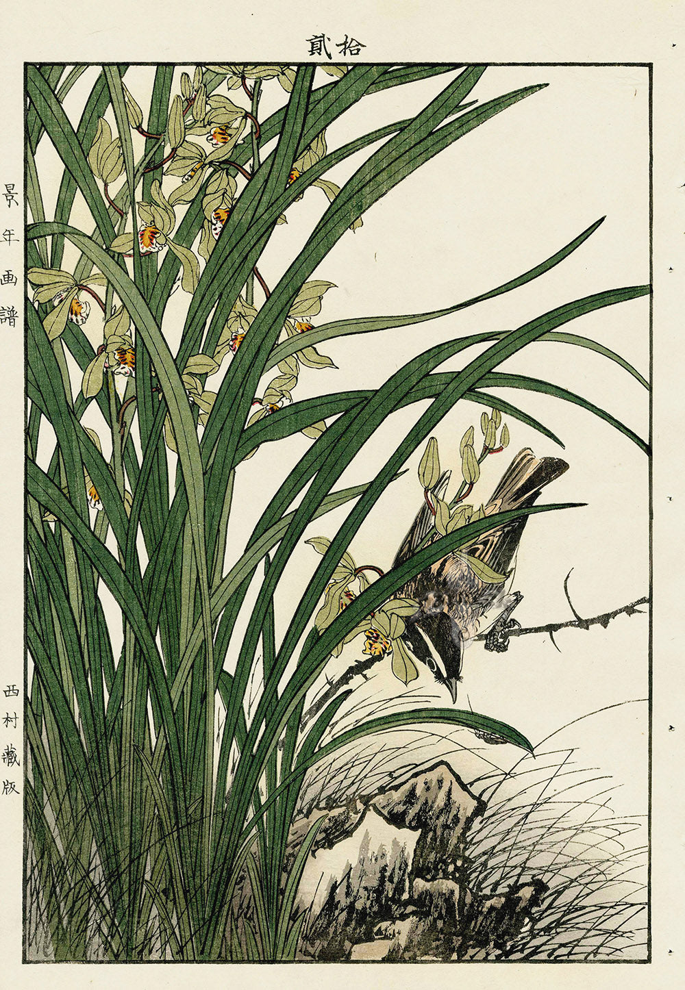 Keinen Imao Bird and Flower Albums Orchid, Reeds, Finch