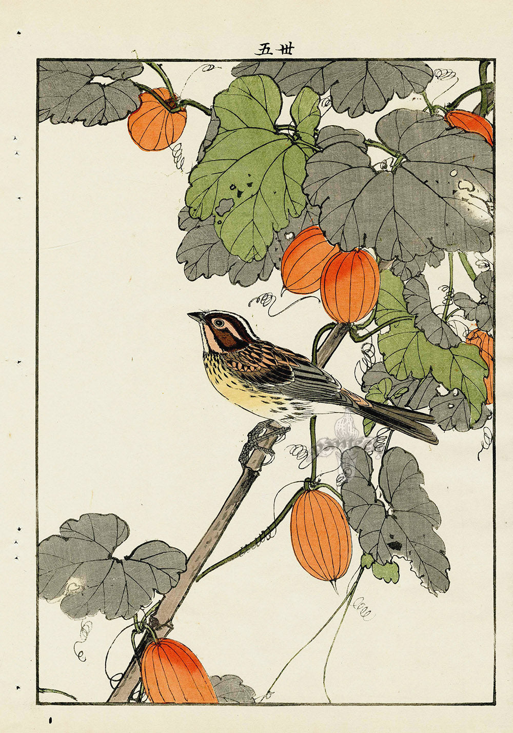 Keinen Imao Bird and Flower Albums Perching bird, Gourd
