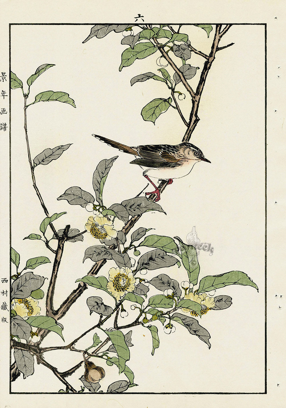 Keinen Imao Bird and Flower Albums Perching Bird, Spring Blossoms