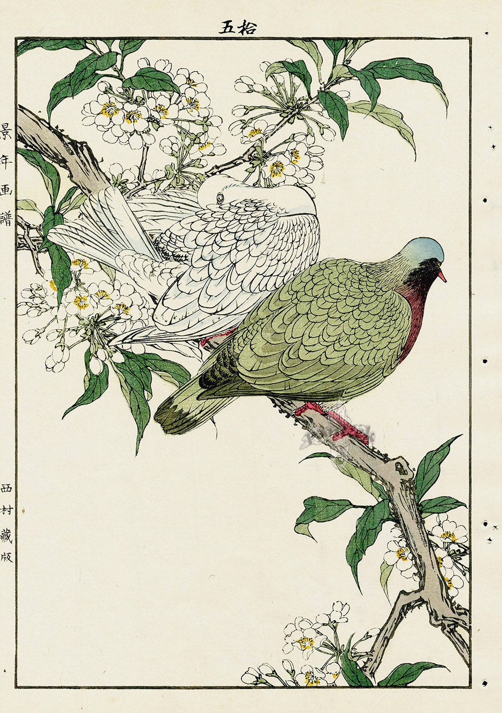 Keinen Imao Bird and Flower Albums Pigeons, Spring Blooms