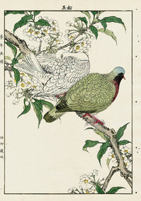 Keinen Imao Bird and Flower Albums Pigeons, Spring Blooms - Panteek Antique Prints