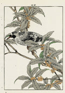 Keinen Imao Bird and Flower Albums Red Berries, Bird - Panteek Antique Prints