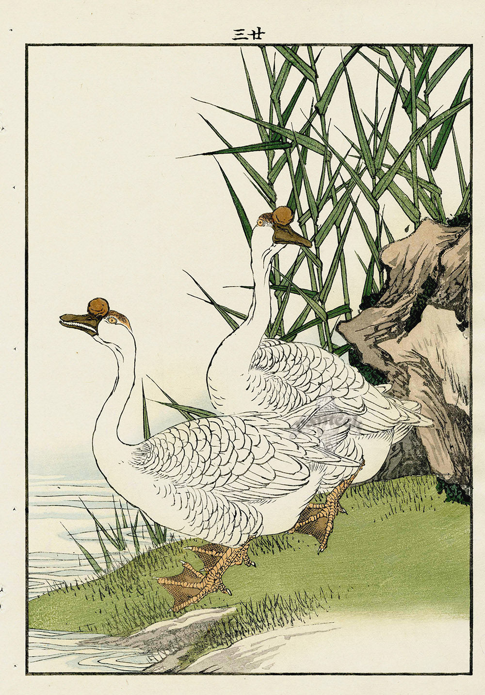 Keinen Imao Bird and Flower Albums Reeds, Ducks