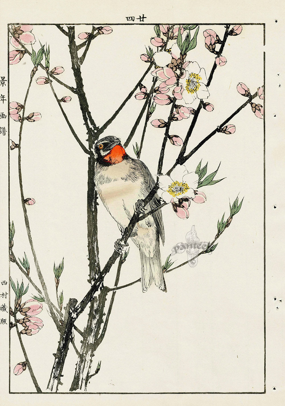 Keinen Imao Bird and Flower Albums Ruby Throat, Peach Blossom