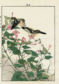 Keinen Imao Bird and Flower Albums Rushes, Flycatcher, Daisy - Panteek Antique Prints