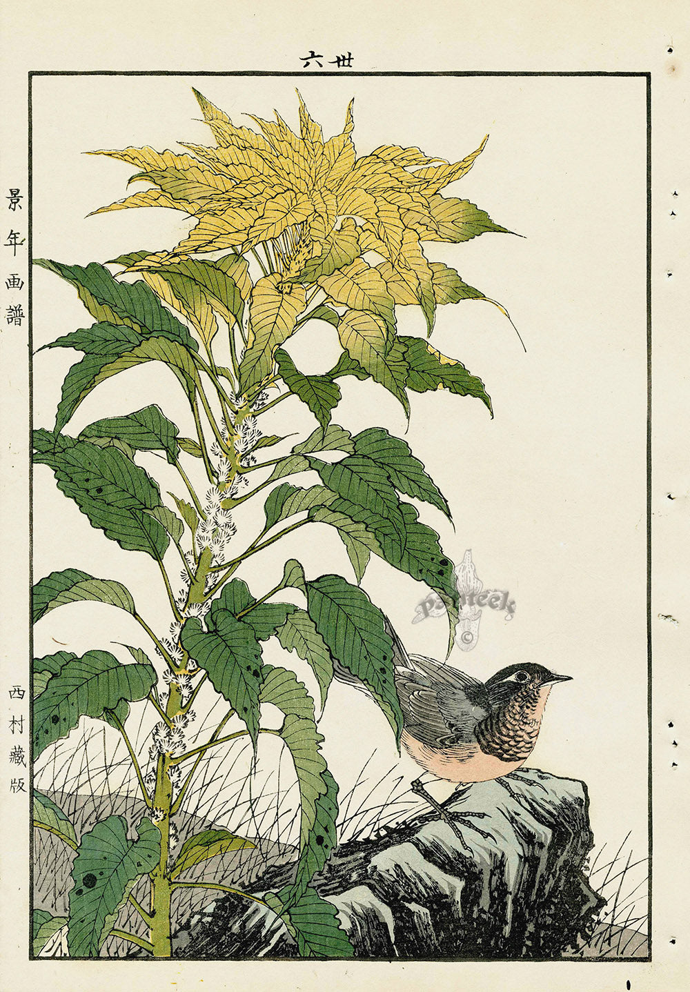 Keinen Imao Bird and Flower Albums Skylark, Amaranthus