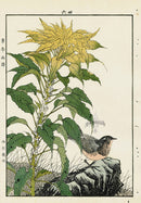 Keinen Imao Bird and Flower Albums Skylark, Amaranthus - Panteek Antique Prints
