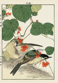 Keinen Imao Bird and Flower Albums Thrush, Berries - Panteek Antique Prints