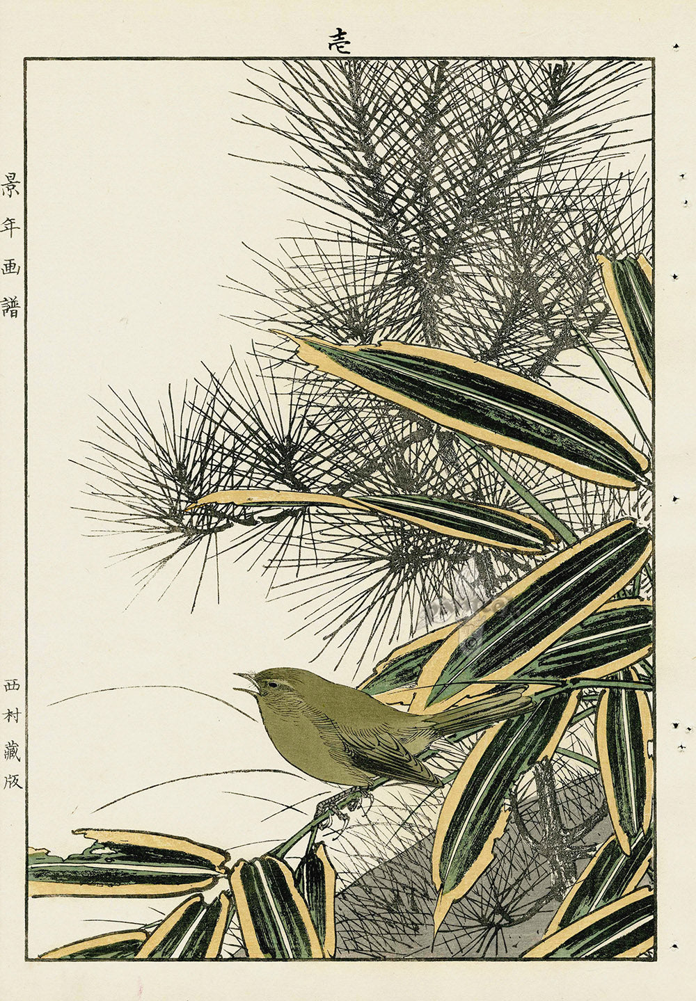 Keinen Imao Bird and Flower Albums Tit, Pine