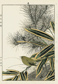 Keinen Imao Bird and Flower Albums Tit, Pine - Panteek Antique Prints