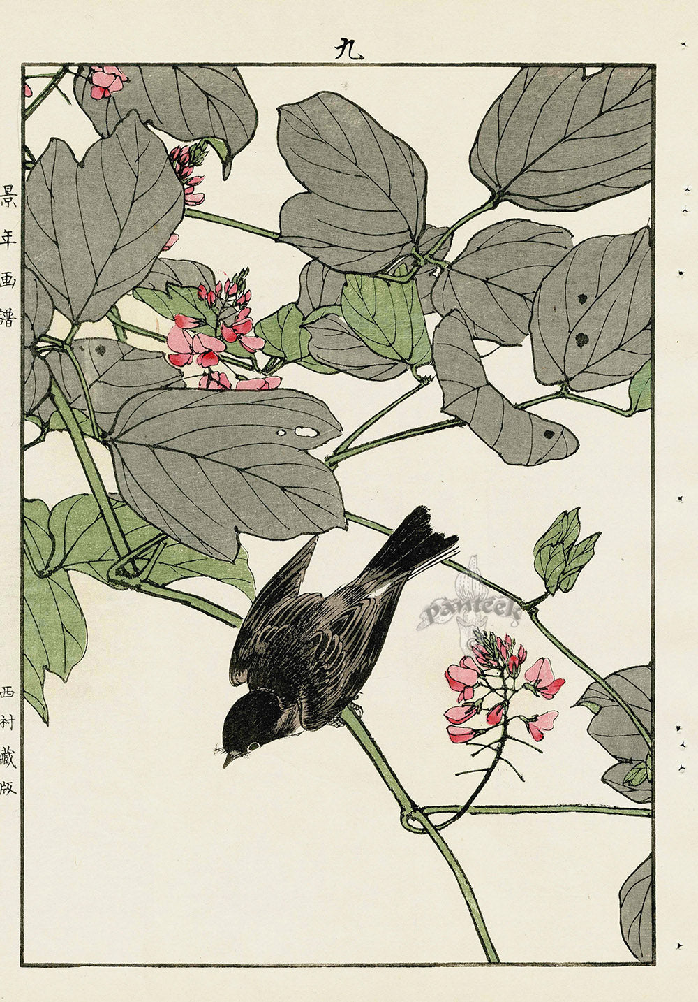 Keinen Imao Bird and Flower Albums Warbler, Gorse