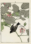 Keinen Imao Bird and Flower Albums Warbler, Gorse - Panteek Antique Prints