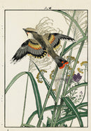Keinen Imao Bird and Flower Albums Waxwing, Silver Grass, Gentian - Panteek Antique Prints