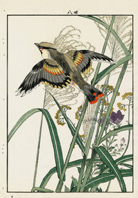 Keinen Imao Bird and Flower Albums Waxwing, Silver Grass, Gentian - Panteek Antique Prints