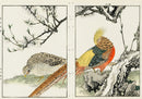 Keinen Imao Birds Flowering Peach, Kinkei (Golden Pheasant) 2 prints - Panteek Antique Prints