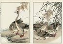 Keinen Imao Birds Geese 2 prints - Panteek Antique Prints