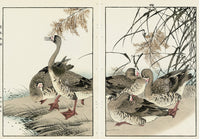 Keinen Imao Birds Geese 2 prints - Panteek Antique Prints