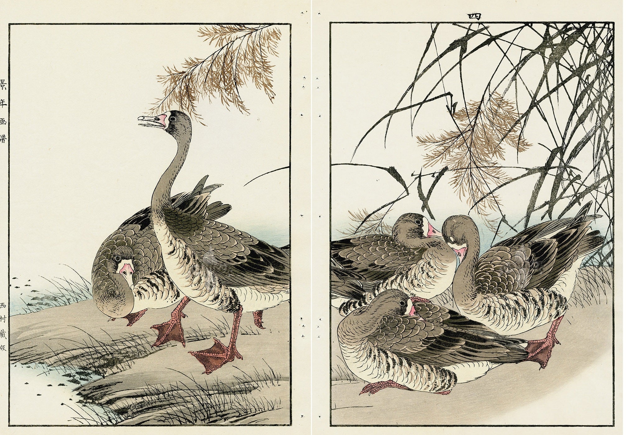 Keinen Imao Birds Geese 2 prints