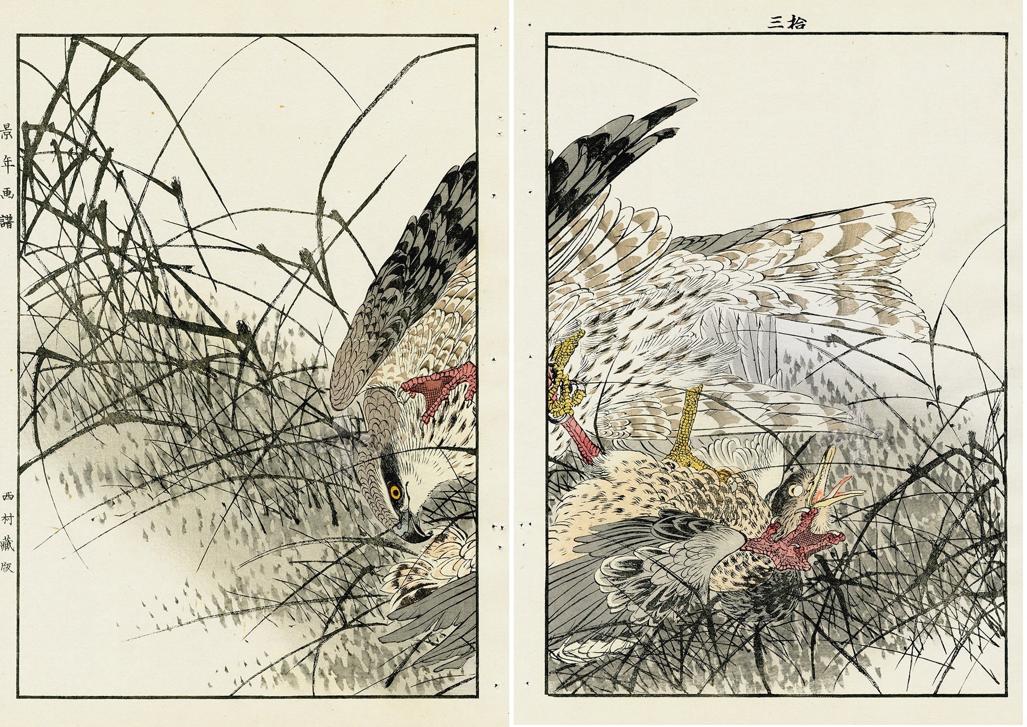 Keinen Imao Birds Grasses, Goshawk 2 prints